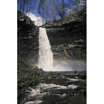 Wn5_Hardraw Force